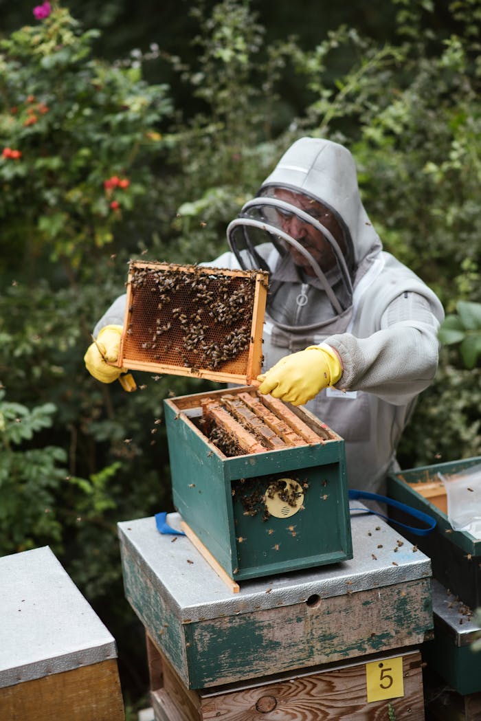 Home A beekeeper in protective gear harvests honey from a beehive in a lush outdoor setting.